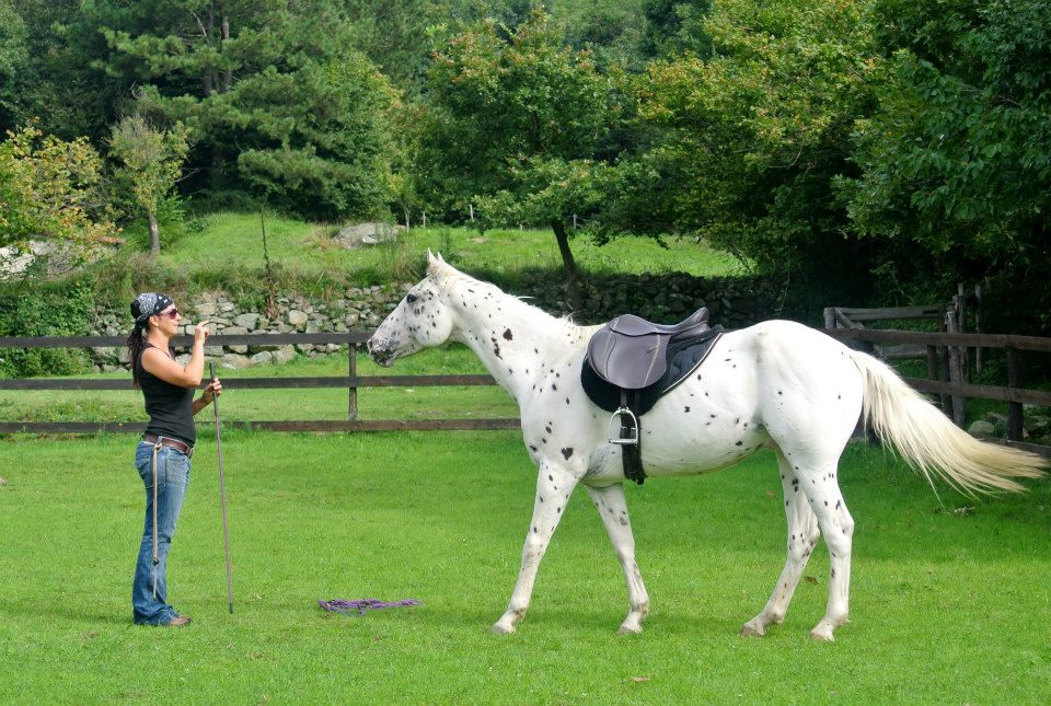 Azienda Agricola Cortin - Barbara Parziale Istruttore Parelli - Istruttore