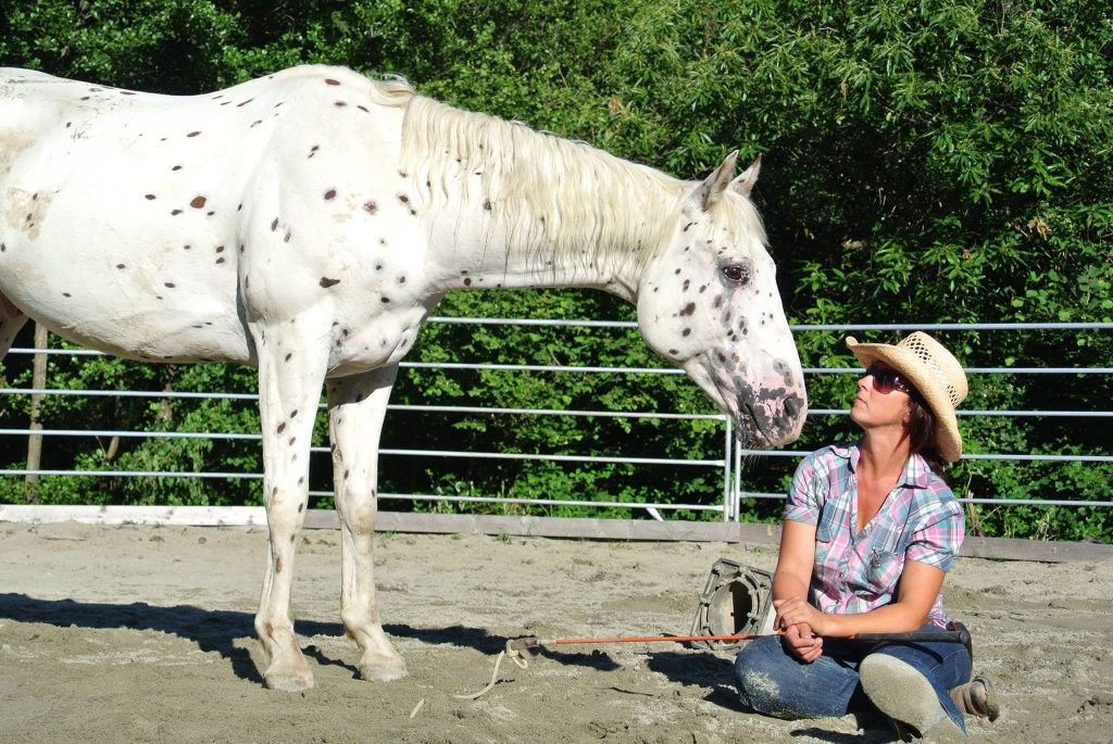 Barbara Parziale istruttore Parelli - Cortin