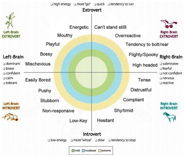 Horsenality chart - Barbara Parziale Istruttore Parelli