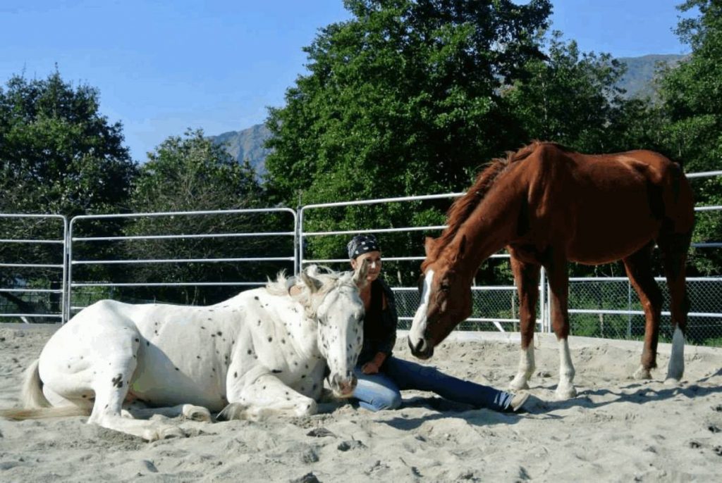 Azienda Agricola Cortin - Barbara Parziale Istruttore PARELLI2