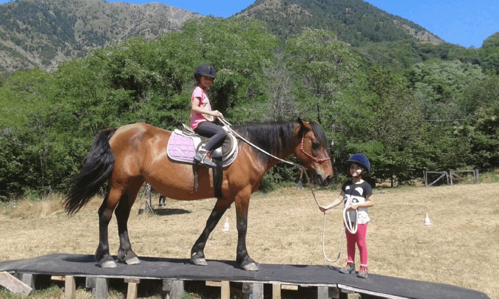 Azienda Agricola Cortin - Barbara Parziale Istruttore PARELLI6