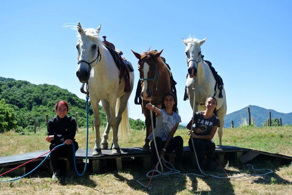 Settimana verde cavalli