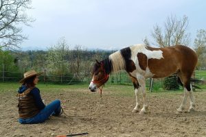 WhatsApp Image 2024-10-27 at 10.23.58